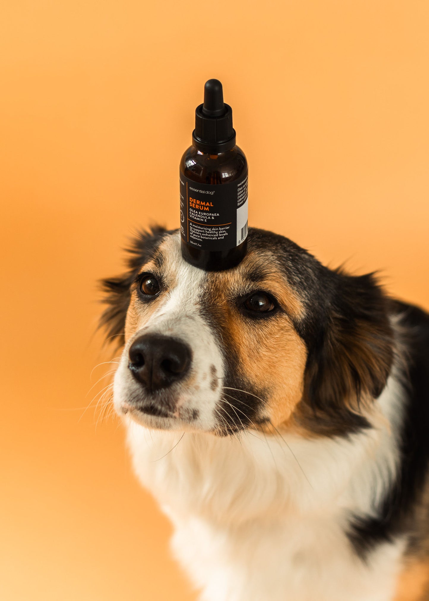 hydrating serum for dogs