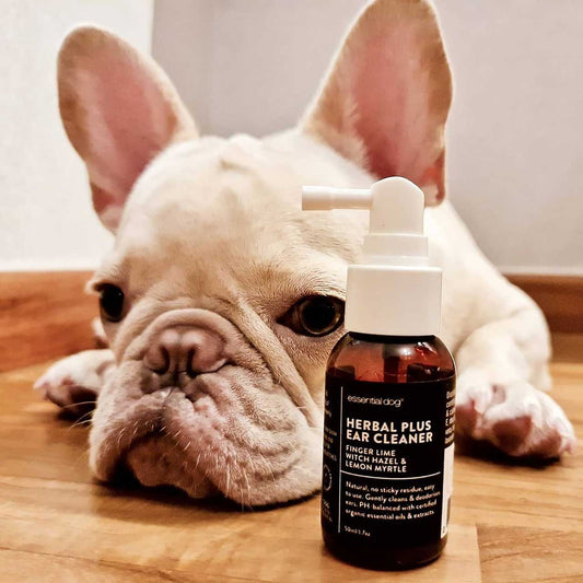 Cleaning your dog´s ears at home