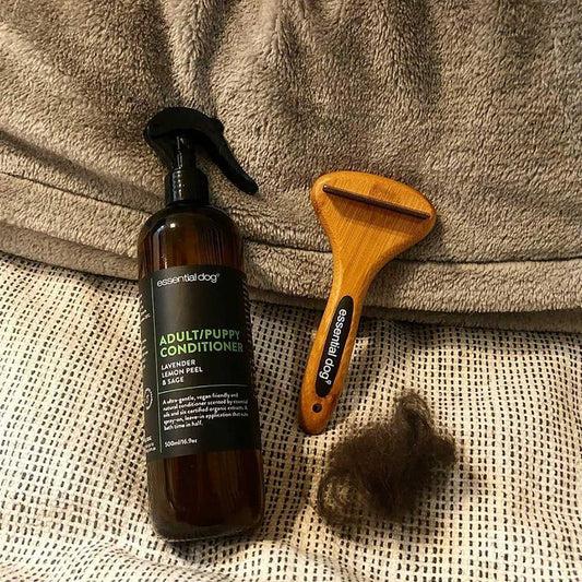 Finding a suitable brush for your pet