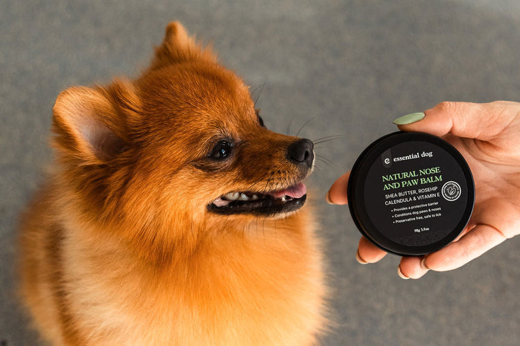 organic nose and paw balm