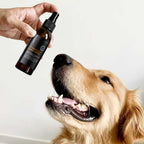 essential dog all natural and safe citronella repellent spray for dogs
