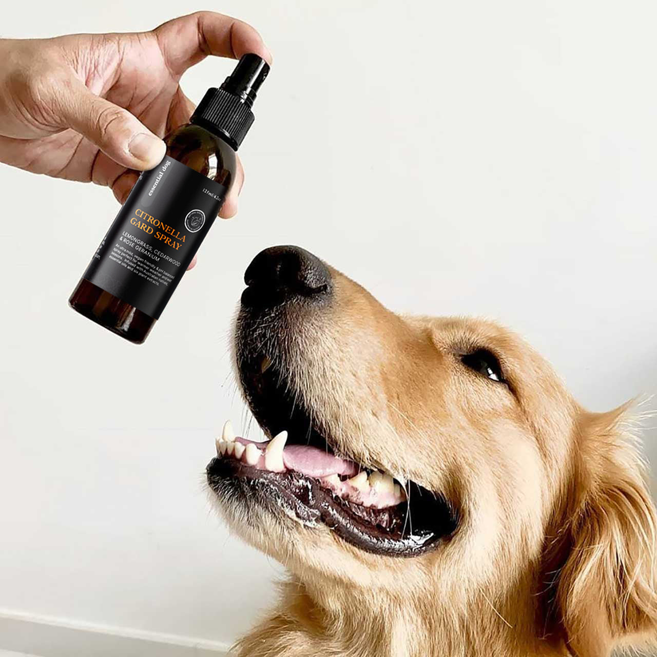 citronella dog repellent