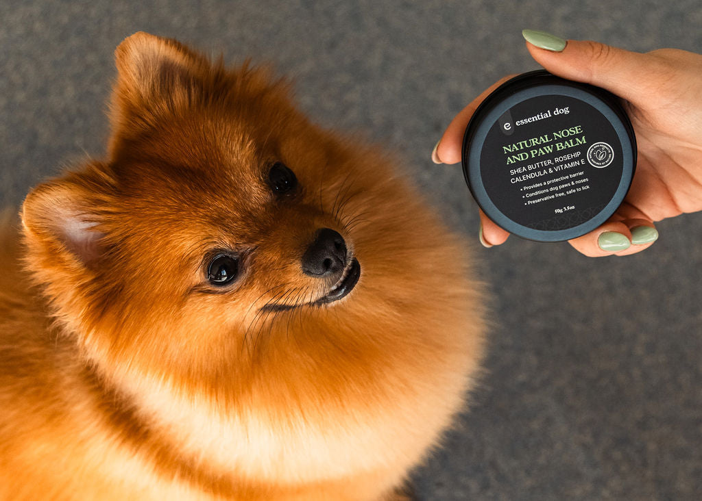 essential dog nose and paw balm