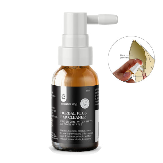 Dog Herbal Ear Cleaner: Witch Hazel, Finger Lime & Lemon Myrtle