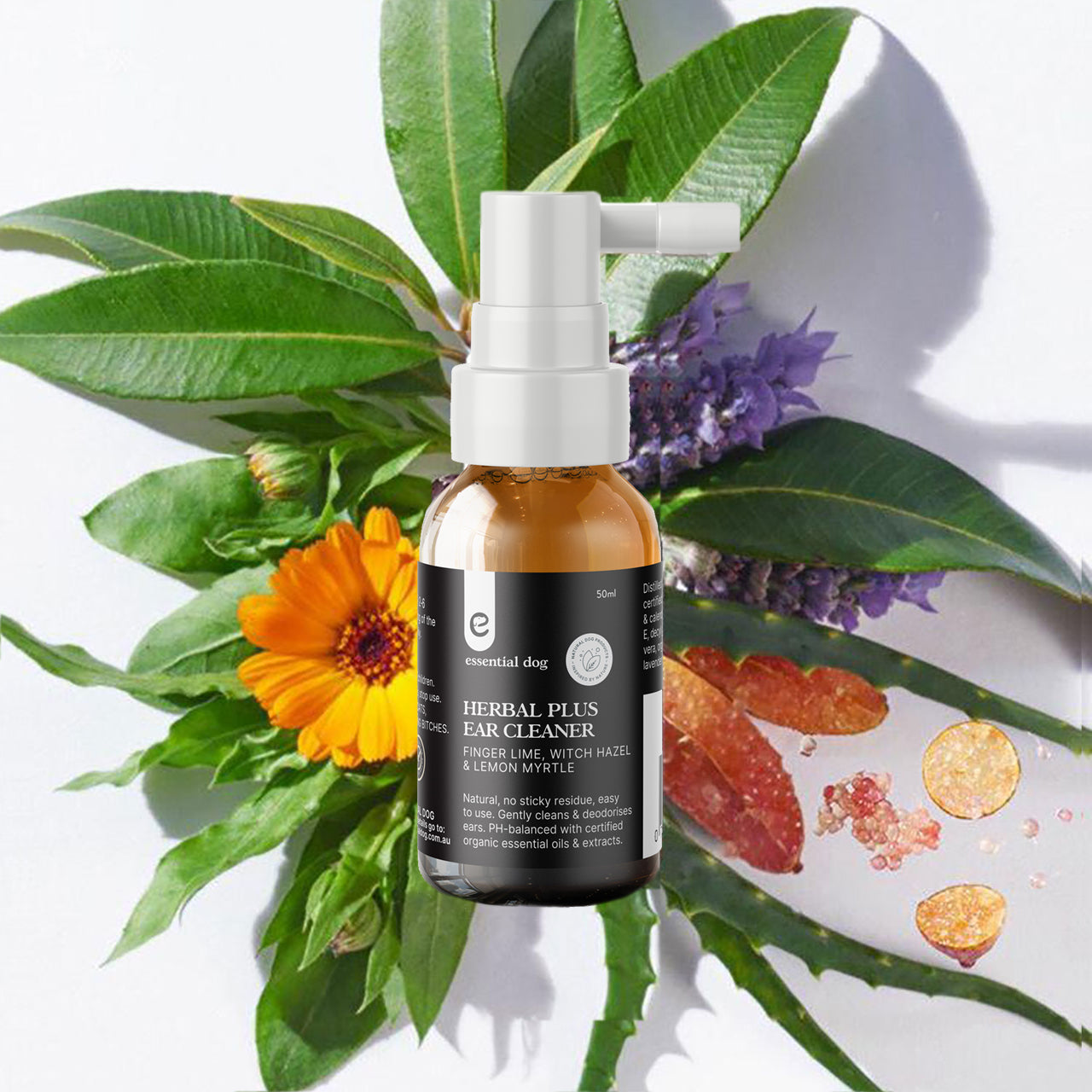 Dog Herbal Ear Cleaner: Witch Hazel, Finger Lime & Lemon Myrtle