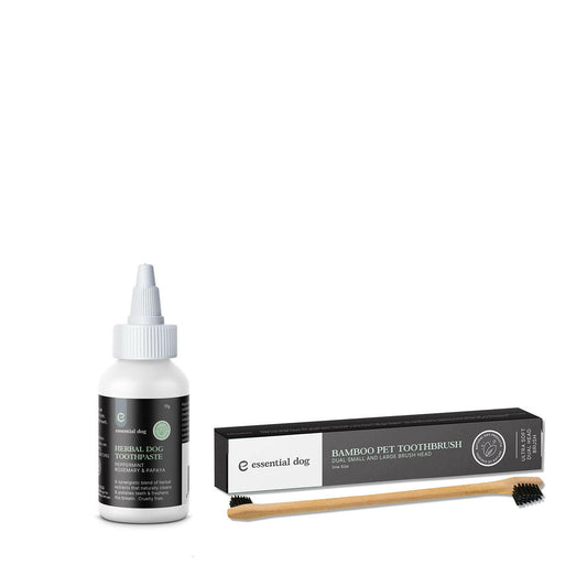 pet dental care set