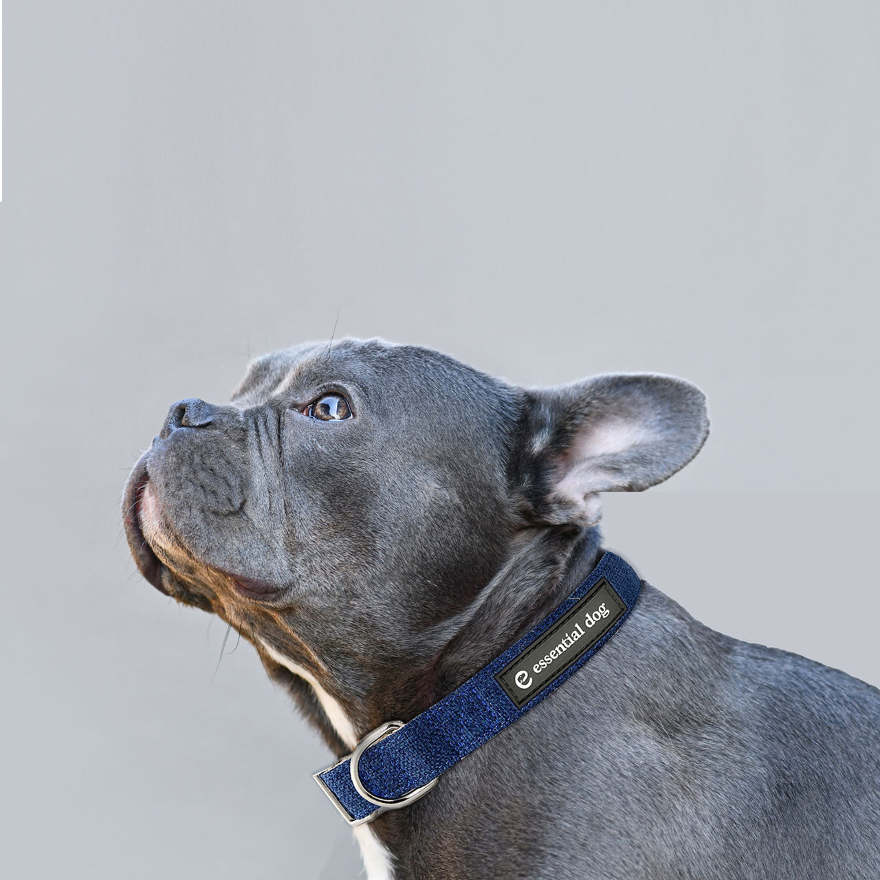 essential dog premium quality organic hemp pet collar for dogs and cats with sensitive skin